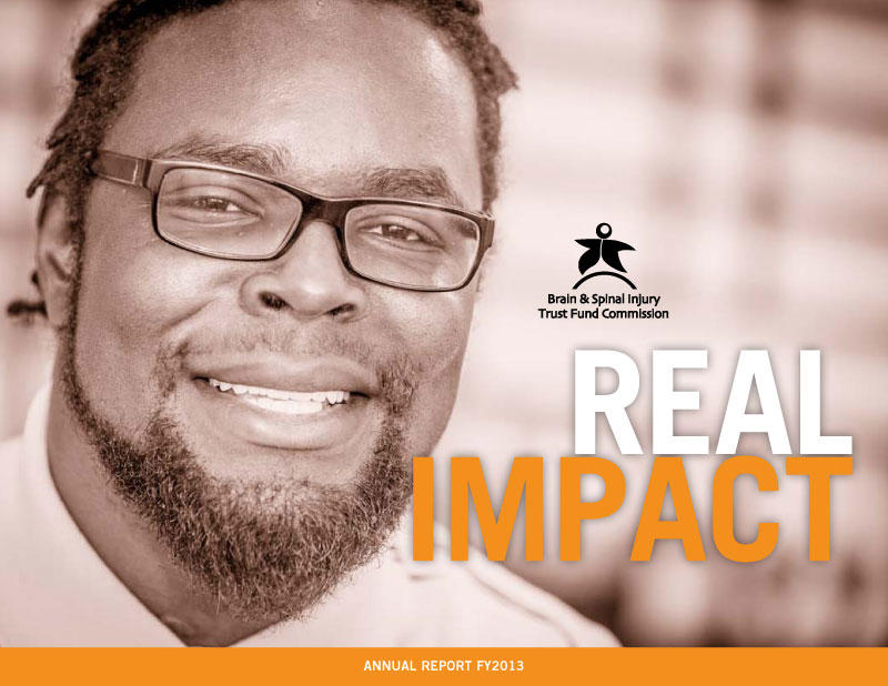 fy2013 Anuual Report Cover