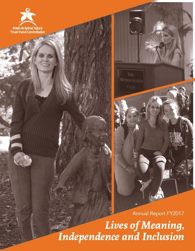 Fy2017 Annual Report Cover