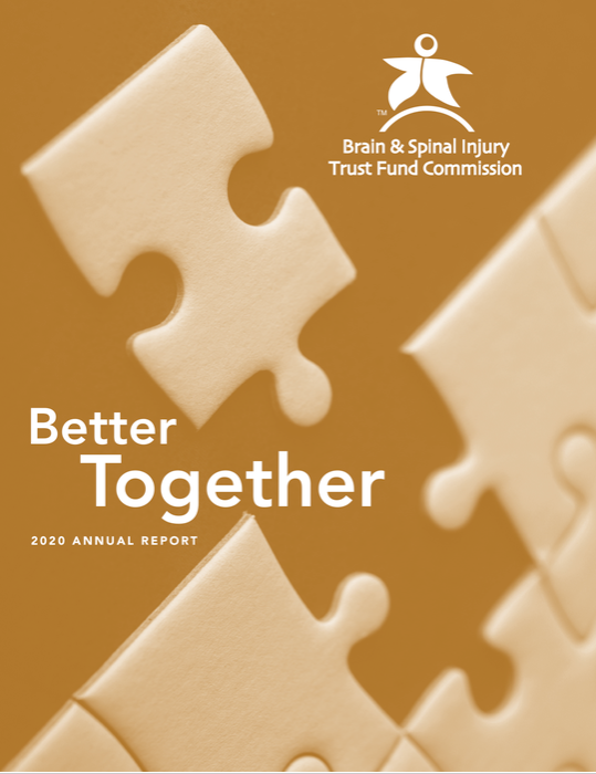 2020 Annual Report Cover "Better Together"