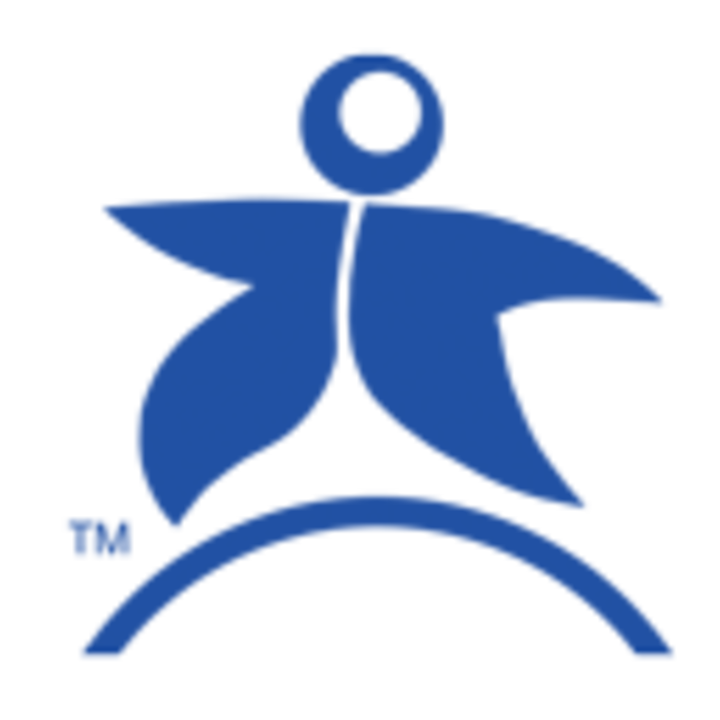 bsitf logo